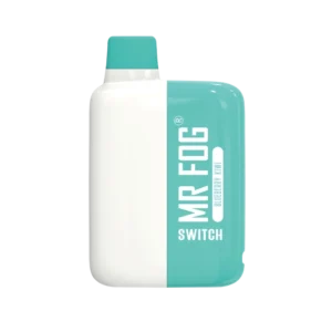 5500 Puffs Blueberry Kiwi | Mr Fog Switch 5500 | $19.99