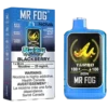 Blackberry Mr Fog Nova Steezy Edition 36K Disposable | 20mL