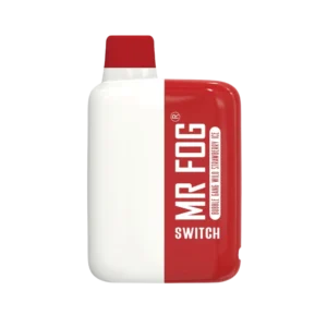 Bubble Gang Wild Strawberry Ice 5500 | Mr Fog Switch 5500 |