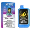 Grape Mr Fog Nova Steezy Edition 36K Disposable | 20mL