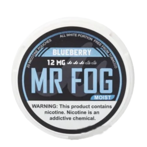 Moist Blueberry Mr Fog Nicotine Pouches | 4/8mg