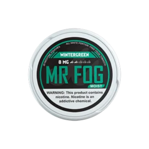 Moist Wintergreen Mr Fog Nicotine Pouches | 4/8mg