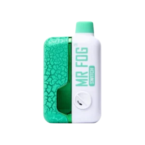 SW15000 Classic Mint Ice - Mr Fog Switch